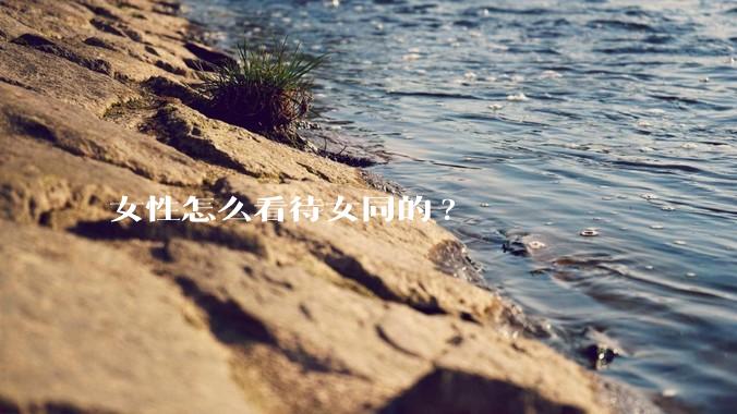 女性怎么看待女同的?